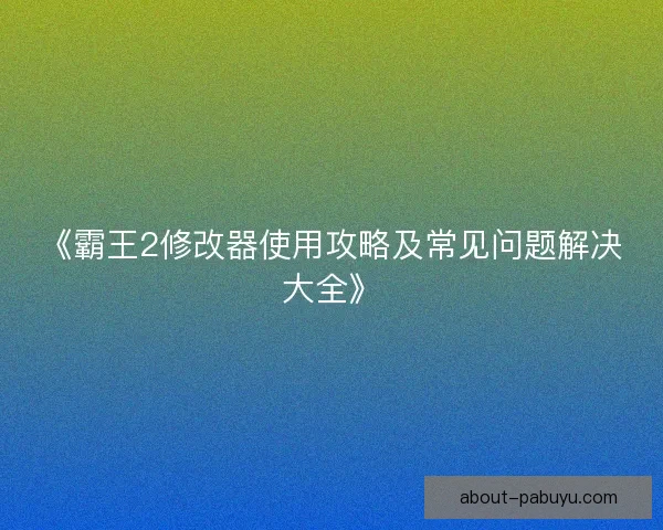 《霸王2修改器使用攻略及常见问题解决大全》