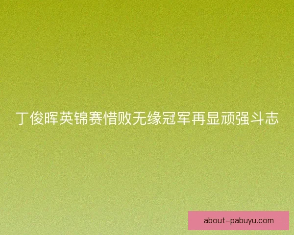 丁俊晖英锦赛惜败无缘冠军再显顽强斗志